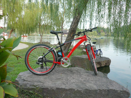 diamond frame electric bike